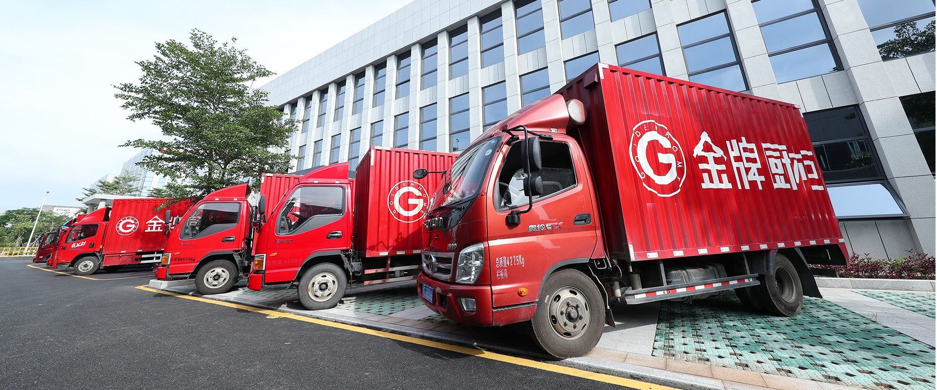 d88尊龙z6(中国区)尊龙官方网站